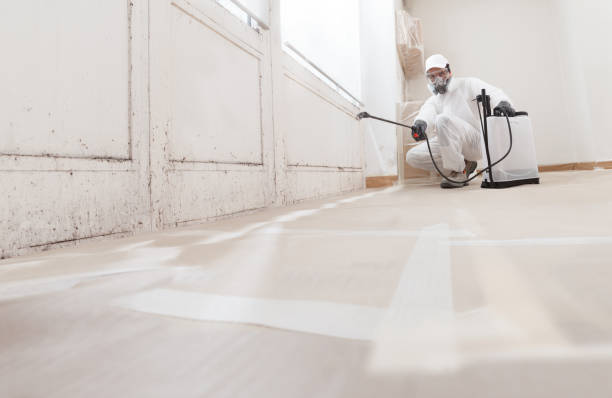24/7 Emergency Black Mold Remediation experts in Douglas, MI